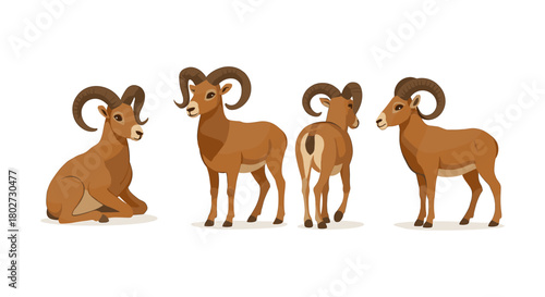 Diverse ram poses in flat style on white background for animal design