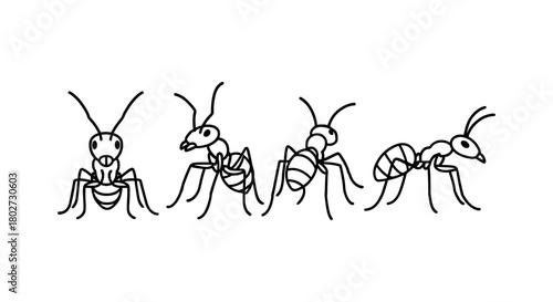 Linear ant design: minimalist black outline art of four ants on white background