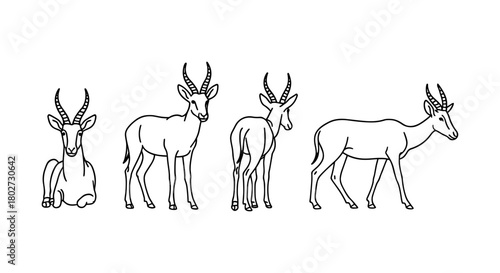 Linear antelope outline set: sitting, standing, and walking poses