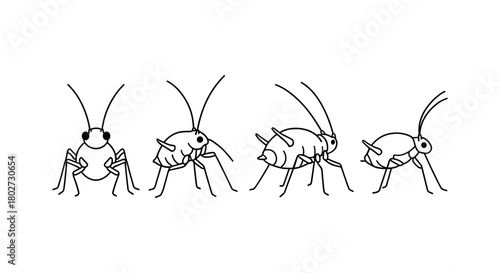 Cricket line art sequence: evolution of movement in minimalist style