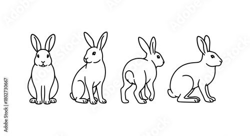 Rabbit line art: four poses of a curious bunny in simple outlines
