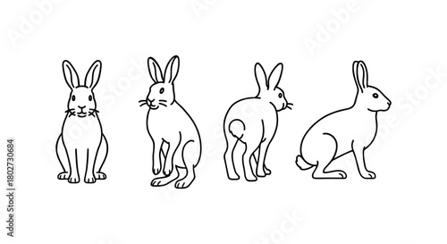 Minimalist rabbit silhouettes in four distinct poses on white background