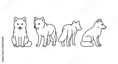 Outline canine poses: four dog perspectives in minimalist design