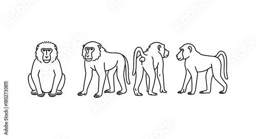 Linear baboon silhouettes: multiple perspectives of monkeys in outline style