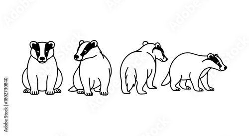 Badger silhouette set: diverse poses in simple black and white design