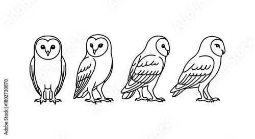 Barn owl line art set with various poses in continuous style