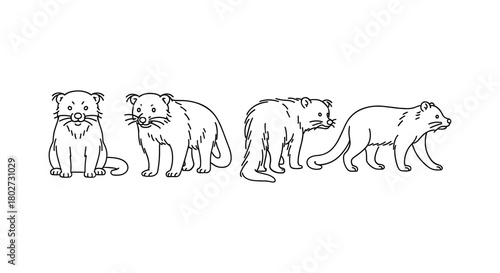 Binturong outline set: multiple perspectives of curious wildlife