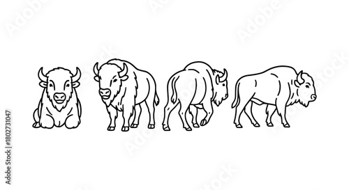 Linear bison set displaying various poses on white background