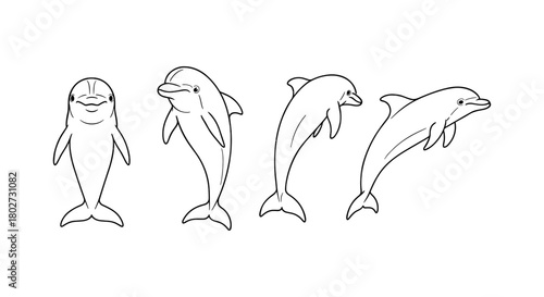 Minimalist dolphin outline: elegant marine life in simple line art design