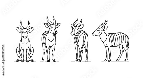 Linear art deer collection: diverse poses of graceful antelope variants