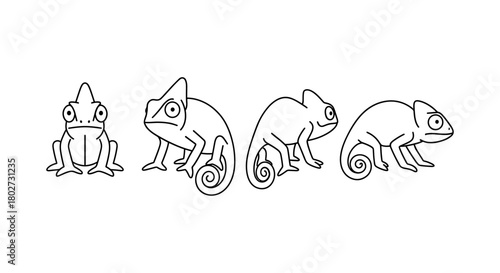 Linear chameleon outlines in various poses for reptile designs