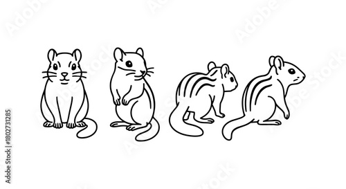 Linear chipmunk sketch set: various poses and angles