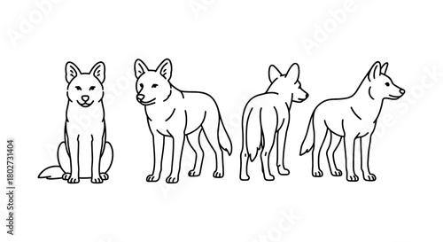 Dog outline set with multiple angles for design projects