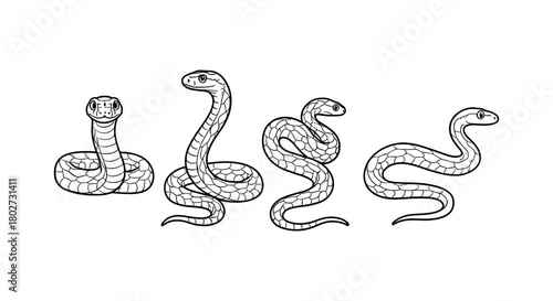 Linear snake set with four expressions in black and white art style
