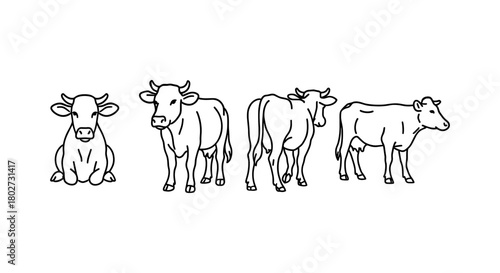 Farm animal outlines: cow in multiple poses for design and education