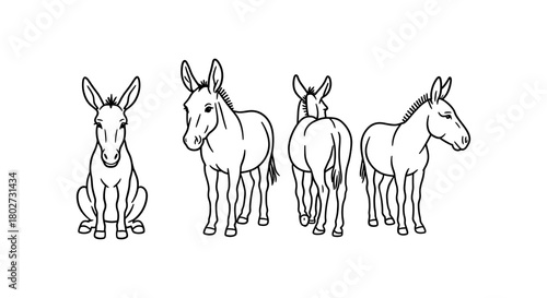 Outline donkey sketch: front, side, back views of cute cartoon animals