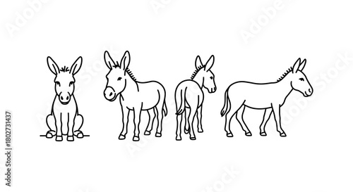 Linear donkey silhouettes in various poses on white background
