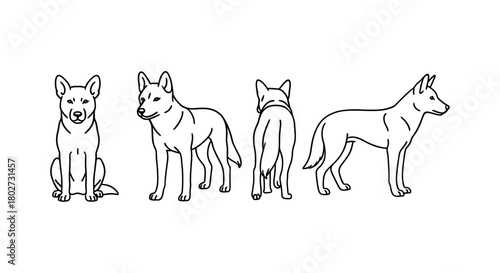 Outline dog poses from multiple angles for design projects