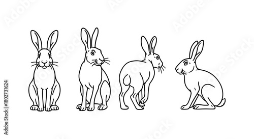 Cute rabbit outline set: different poses in simple line art