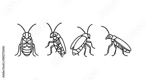 Set of cockroach line art: insect icons in minimalist style