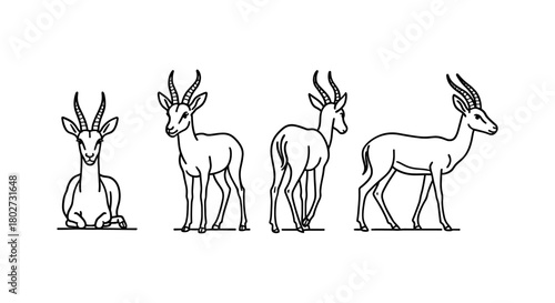 Linear gazelle sketch: various positions of a graceful gazelle in a doodle style