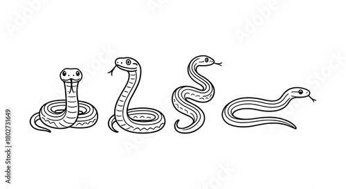 Set of cartoon snakes in various poses with outline style
