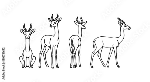 Elegant linear gazelle silhouettes in various poses on white background