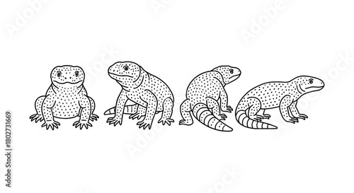 Detailed linear set of reptile illustrations: four lizard poses