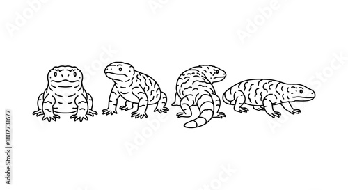 Linear iguana set: four black and white iguana poses