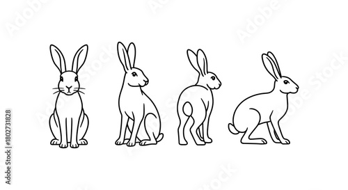 Outline rabbits in multiple poses: front, side, and back views