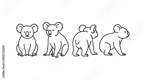 Cute koala outlines in different poses for design projects