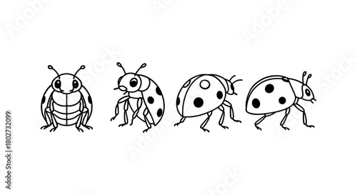 Black and white ladybug line art collection: insect evolution stages
