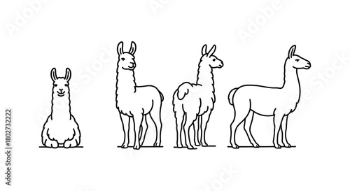 Linear llama set: cute cartoon llamas in various poses