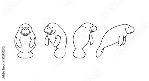 Cute manatee outline in minimalist continuous line art style
