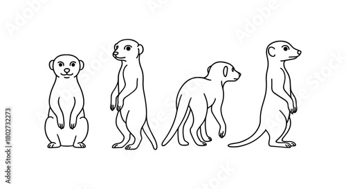 Linear meerkat drawings in different poses set on white background