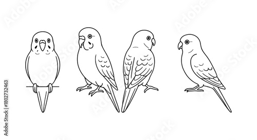 Simple outline of parrot in various poses on white background