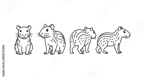 Cute hamster outline set with multiple angles in linear style