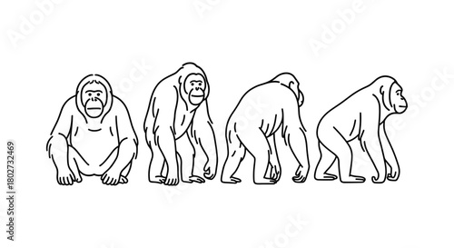 Linear primate silhouette design with chimpanzee poses for creative projects