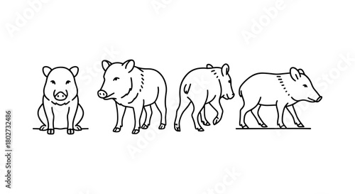 Linear wild boar poses: four unique perspectives for design projects
