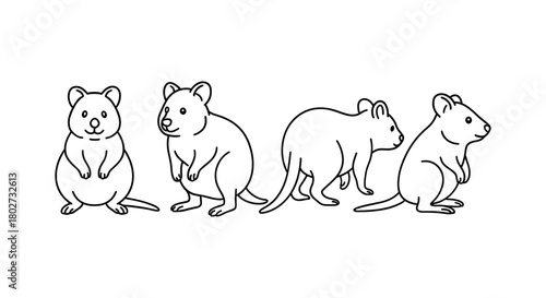 Cute linear mice in various poses on white background