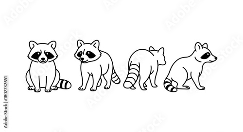 Cute raccoon outline: four adorable poses in minimalist black and white