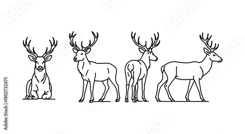Elegant deer silhouettes: minimalist wildlife designs