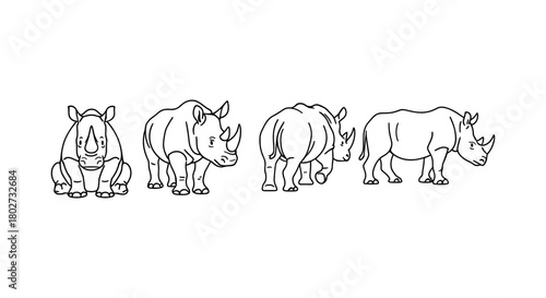 Linear rhino set: front, side, back views for design projects