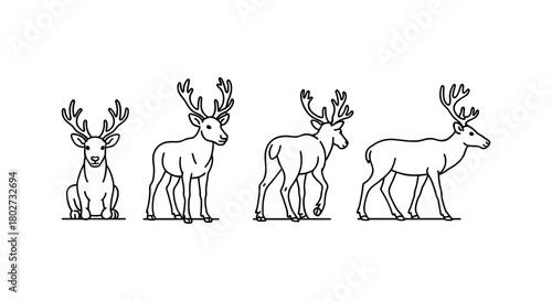 Linear deer outline with various poses for design projects