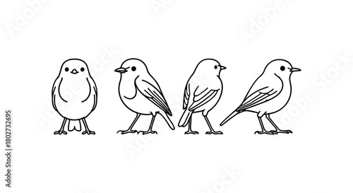 Minimalist black and white bird line art featuring four bird silhouettes in different poses