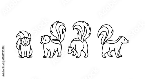 Outline skunk set: four simple black and white sketches of cute wildlife creatures