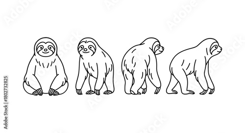 Cute sloth line art set: adorable sloth in multiple poses and angles