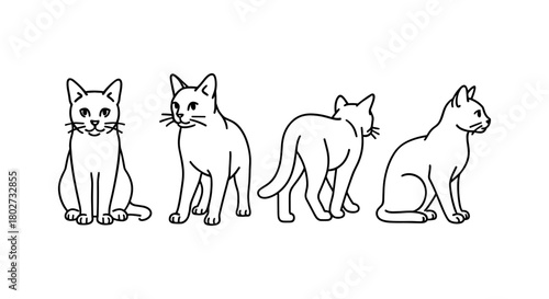 Four cats in different poses outline