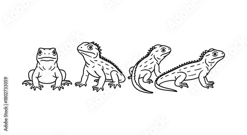 Linear reptile sketch collection: multiple lizard angles and poses