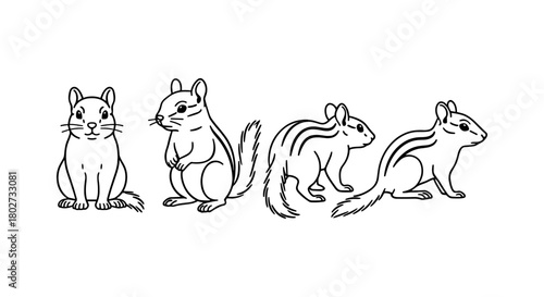 Cute chipmunk line art set featuring playful poses and unique patterns